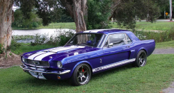 Annonce 433977338/1966MUSTANG_MONI picto4