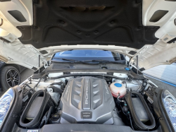 Annonce 436503047/MACAN_TURBO picto5