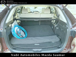 Annonce 447248105/101348 picto5