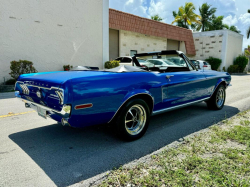 Annonce 448872746/FRCabMust68 picto2