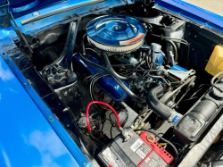 Annonce 448872746/FRCabMust68 picto6