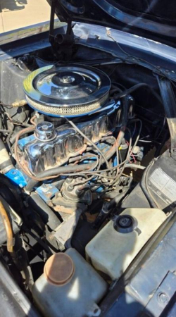 Annonce 451699232/ANT741224 picto3