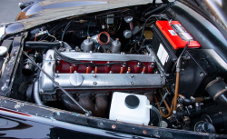 Annonce 453229259/ANT310125 picto5