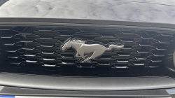 Annonce 454763648/edmytk4u_K picto4