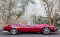 Annonce 455208026/ANT780125 picto2