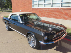 Annonce 460918535/67bmcn picto3