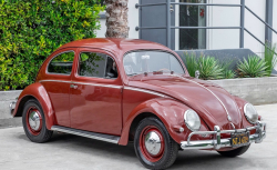 Volkswagen Coccinelle cox 76-Seine-Maritime