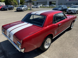 Annonce 469414409/1799953395 picto6