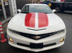 Annonce 469645268/250504-160010 picto6