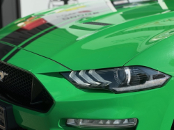 Annonce 472616303/250524-183847 picto6