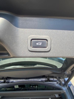 Annonce 473779922/1165393190 picto7