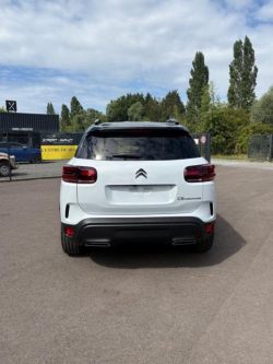 Annonce 475396571/1910706247 picto5