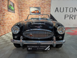 Annonce 479709296/austinhealey-ba picto2