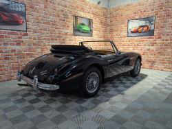Annonce 479709296/austinhealey-ba picto4