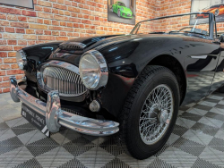 Annonce 479709296/austinhealey-ba picto5