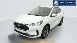 Annonce 480070901/125020301 picto3