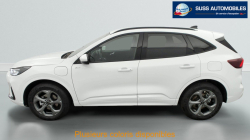 Annonce 480070901/125020301 picto4