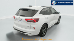 Annonce 480070901/125020301 picto7