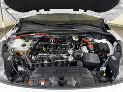 Annonce 480180518/385564 picto2