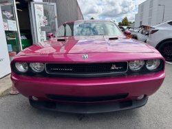 Annonce 480749819/250720-182256 picto4