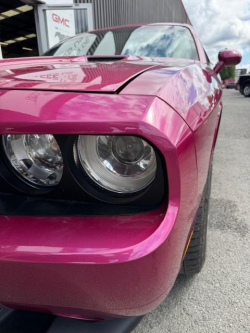 Annonce 480749819/250720-182256 picto5