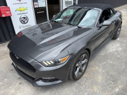 Annonce 480756362/250720-200551 picto3