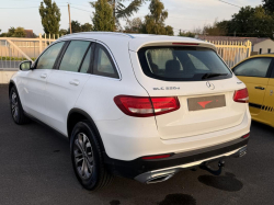 Annonce 481295384/250724-050425 picto4