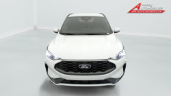 Annonce 481629032/125020301 picto2