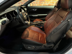 Annonce 482103104/mustangeco-ba picto6