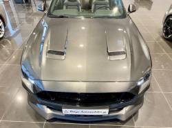 Annonce 483529292/250809-152503 picto3