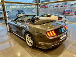 Annonce 483529292/250809-152503 picto5