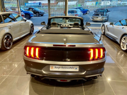 Annonce 483529292/250809-152503 picto6