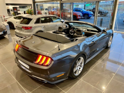 Annonce 483529292/250809-152503 picto7