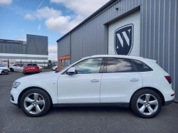 Annonce 484065146/1254_0001262 picto2