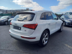 Annonce 484065146/1254_0001262 picto5