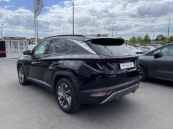 Annonce 484927676/1196289245 picto4