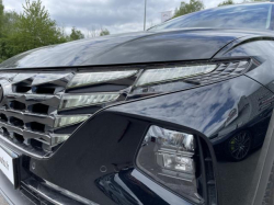 Annonce 484927676/1196289245 picto6