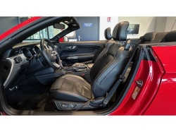 Annonce 485083352/215451 picto7