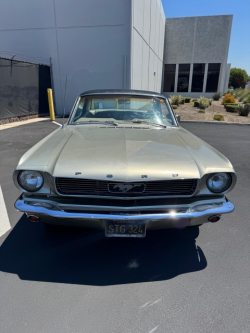 Annonce 485166770/943VO250565 picto7