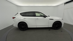 Annonce 486523022/1977671 picto5