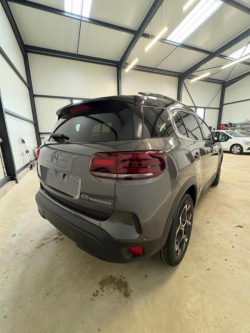 Annonce 486999482/1384550239 picto6