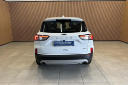 Annonce 487869596/1979587 picto4