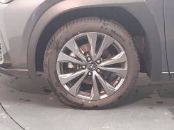 Annonce 488012954/373675 picto7