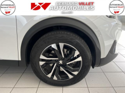 Annonce 488425388/1088591859 picto6