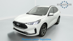 Annonce 489010982/125020301 picto3