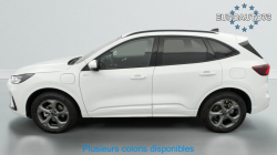 Annonce 489010982/125020301 picto4