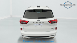 Annonce 489010982/125020301 picto6