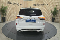 Annonce 489735524/1981576 picto4