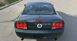 Annonce 489864458/250921-165146 picto5