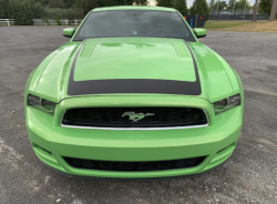 Annonce 489871001/250921-173918 picto3